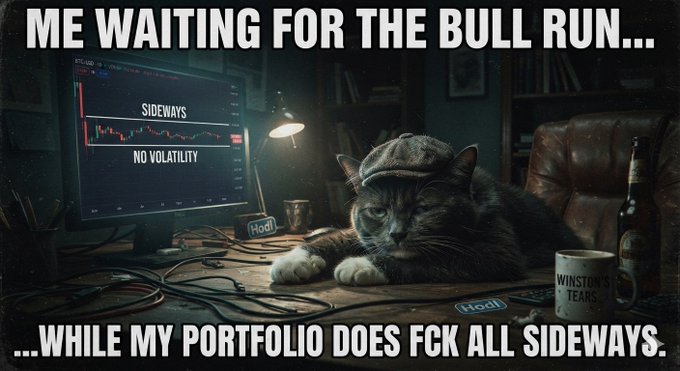 A meme featuring a cat wearing a flat cap sitting at a desk with a monitor showing a sideways chart labeled 'SIDEWAYS NO VOLATILITY', captioned 'ME WAITING FOR THE BULL RUN... WHILE MY PORTFOLIO DOES FCK ALL SIDEWAYS.'