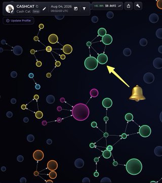 The image shows a CryptoQuant "CashCat" on-chain visualization dated Aug 04, 2026, displaying interconnected wallet clusters in various colors (green, yellow, pink, orange) with a yellow arrow pointing to a cluster and a notification bell icon. The visualization supports the post's claim about "T1 CEXs loading their bags," as it likely depicts significant capital inflows or accumulation patterns from top-tier centralized exchanges into crypto assets.