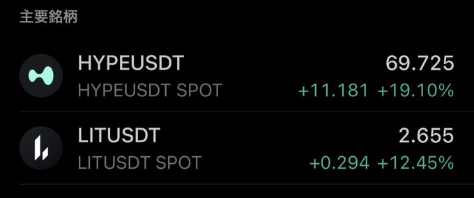 A trading app interface displays "主要銘柄" (major holdings) showing HYPEUSDT SPOT at 69.725 (+11.181, +19.10%) and LITUSDT SPOT at 2.655 (+0.294, +12.45%), both in green gains that support the poster's hopeful sentiment about waking up to continued gains on their concentrated portfolio of just two assets.