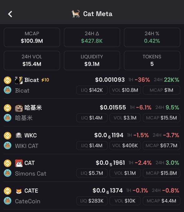 Cryptocurrency tracking screen titled "Cat Meta" showing market data for cat-themed tokens including Bicat, 哈基米, WKC, CAT, and CATE with various prices and percentage changes.