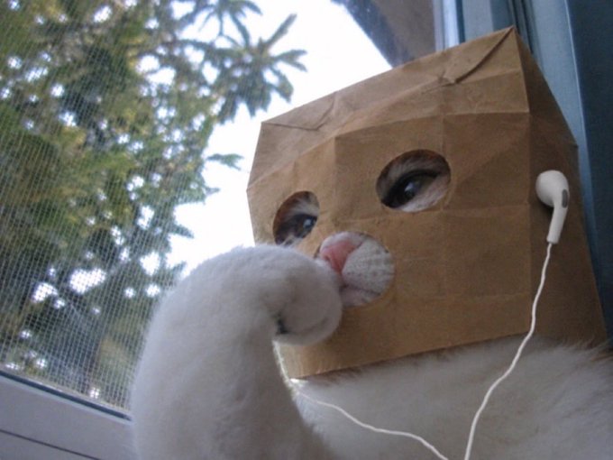 A white cat wearing a brown paper bag with eye holes cut out, listening to wired earbuds, photographed from a low angle near a window with trees visible in the background.