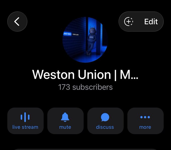 A YouTube channel page titled "Weston Union | M..." with 173 subscribers, featuring a profile picture of a masked figure in a blue-lit room, alongside options for live stream, mute, discuss, and more—aligning with the channel owner's goal of expanding their presence by sharing market alpha.