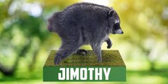 A blurry vertical image showing a dark, furry creature perched on a wooden post labeled 'WINDTHY' against a green background.