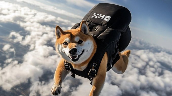 A photorealistic Shiba Inu dog wearing a black parachute rig with "OKX" text skydives through the sky above a layer of white clouds.