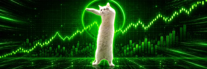 A white cat stands on its hind legs in a dramatic pose against a vibrant green backdrop featuring rising financial charts and graphs, with a glowing green circle highlighting the cat—visually representing the $LOOONGCAT Solana token banner added by a Moby community member.