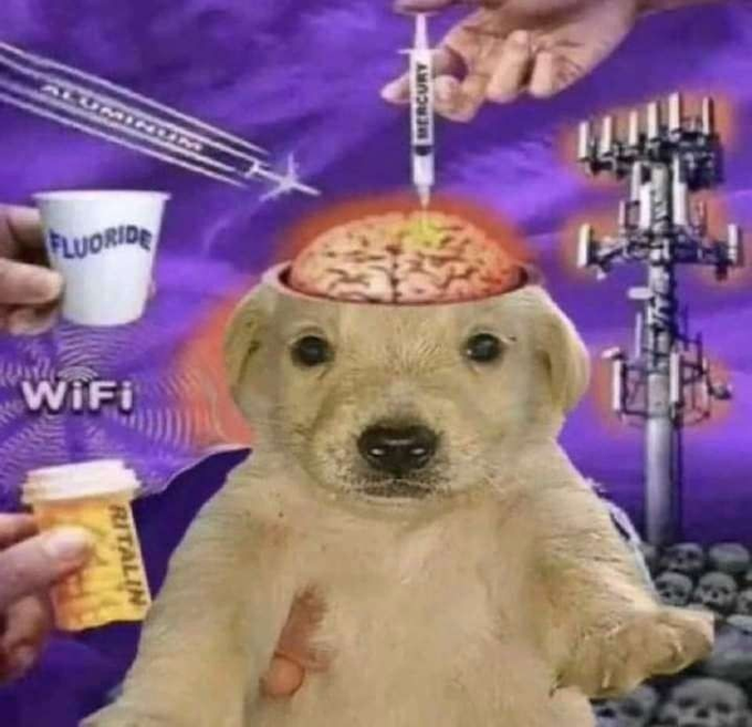 The image features a dog with its head tilted upwards, as if looking at something or someone above it. The background of the photo includes various objects such as a cup, a toothbrush, a phone, and a power line pole. There is also text in the image that reads "$jotchua is my favourite memecoin community. It'S giving me $mask vibes from last year". This post seems to be promoting a meme or a humorous message related to the dog's head tilted position.