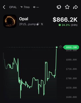 A screenshot of the OPAL token's price chart on a crypto tracker, showing a current price of $866.2K with a sharp upward spike to $865.28K (+24.3% in 24 hours), visually confirming the post's claim that OPAL has pumped 24% today.