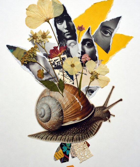 A mixed-media collage featuring a realistic snail with a brown shell, with torn paper elements, yellow shapes, vintage photographs of faces, pressed flowers, and a snail emerging from its shell.