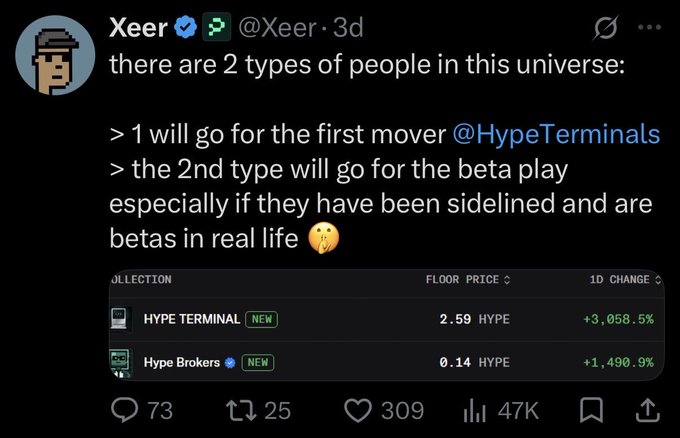 A tweet by Xeer (@Xeer) discussing two types of people regarding @HypeTerminals and beta plays, accompanied by a table showing 'HYPE TERMINAL' and 'Hype Brokers' prices with significant percentage increases.