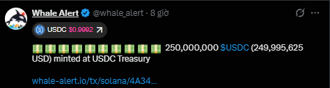 A tweet from @whale_alert reports that 250,000,000 USDC (USDC $0.9992) was minted at the USDC Treasury.