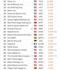 A list of top companies by market cap, showing Tesla, TSLA, at #11 with $11.5B and Meta Platforms at #12 with $11.1B.
