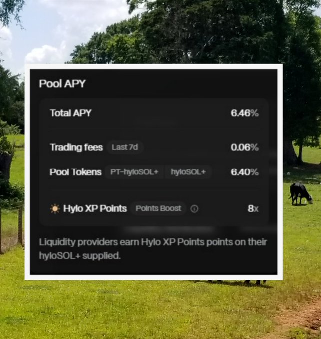 A pastoral countryside scene with grazing cows frames a "Pool APY" data card showing a Total APY of 6.46%, with PT-hyloSOL+ and hyloSOL+ pool tokens yielding 6.40% and an 8x Hylo XP Points boost, illustrating the upgraded LP position with higher points multiplier and ~4% APY compared to simple holding.