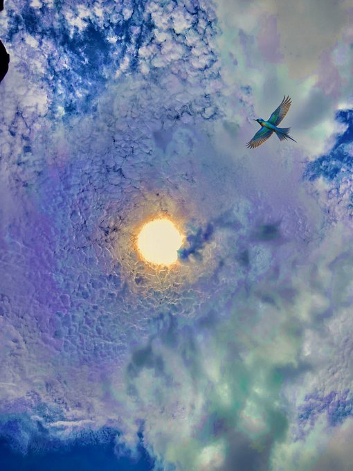A vibrant sky filled with textured clouds surrounds a bright sun, with a colorful bird flying in the upper portion of the frame.
