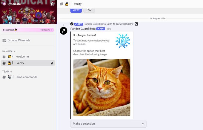 A Discord server screenshot showing the Syndicate -verify channel where Pandez Guard Beta asks users to prove they are human by selecting an image that best describes a follow-up picture of an orange tabby cat.