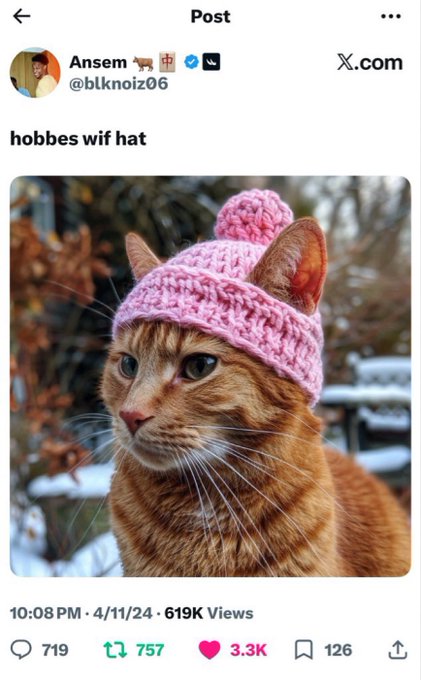 A screenshot of an X (formerly Twitter) post from user Ansem (@blknoiz06) captioned 'hobbes wif hat', showing a 619K-view photo of an orange tabby cat wearing a pink knitted beanie.