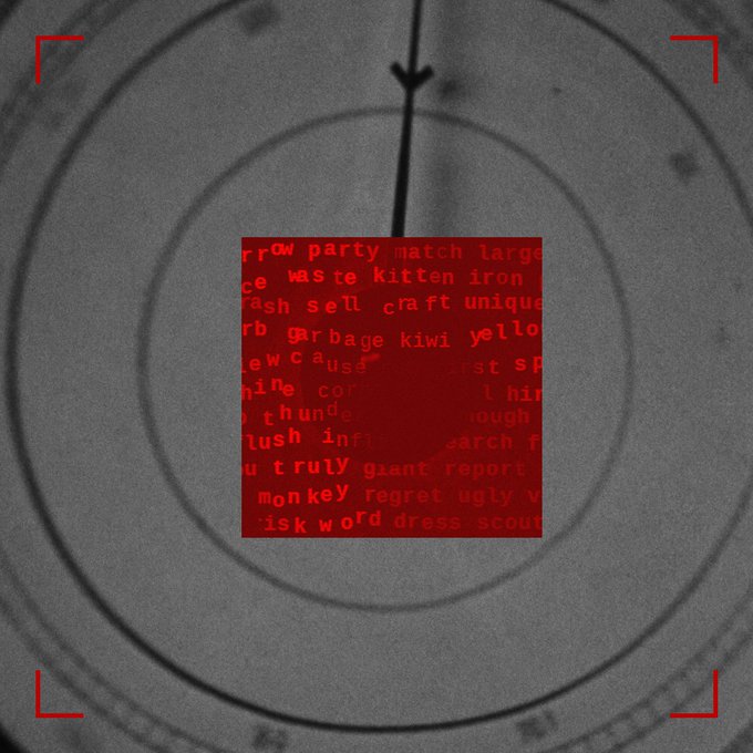 A grayscale image with crosshairs resembling a scope, overlaid with a red square containing scattered red text words like 'party', 'match', 'garbage', 'monkey', and 'scary'.