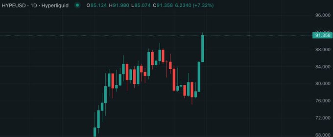 A financial candlestick chart for the HYPEUSD trading pair on the 1-day timeframe via Hyperliquid, showing a current price of 91.358 with a 7.32% gain.