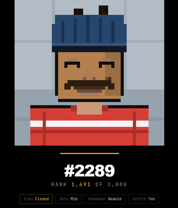 A pixel-art character profile (#2289) showing a figure with closed eyes, a mustache, a blue beanie, and a red striped tee, ranked 1,691 of 2,800.