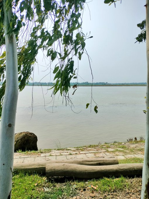 The image features a serene scene of a river with trees lining its banks. There are two large trees near the water's edge, one on each side, creating a natural frame for the view. The calm waters of the river reflect the surrounding greenery, adding depth and tranquility to the scene. In the background, there is a building that appears to be part of the landscape or possibly related to the riverbank.