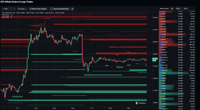A BTC whale orders and large trades chart from Coinglass showing Bitcoin's price action trapped between heavy sell orders stacked at $80K–$81K (red bands above) and major buy orders concentrated at $77K–$79K (green bands below), visually illustrating the whale liquidity squeeze described in the caption where the price is compressed between opposing institutional order walls awaiting a breakout.