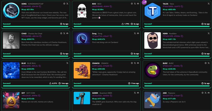 A cryptocurrency tracking dashboard displays multiple meme coins including SONGMIKIMOTCUP, BOO, TALOS, CHAID, Dong, HODL, BLUE, CRAJAKU, BUZ, $HIT, GSENX, and ANO, all showing 'Success!' status.