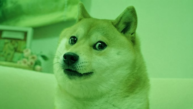 A close-up photo of a Shiba Inu dog, bathed in a green color filter that gives the entire image a green tint, visually matching the post's playful claim that "Doge is green today."