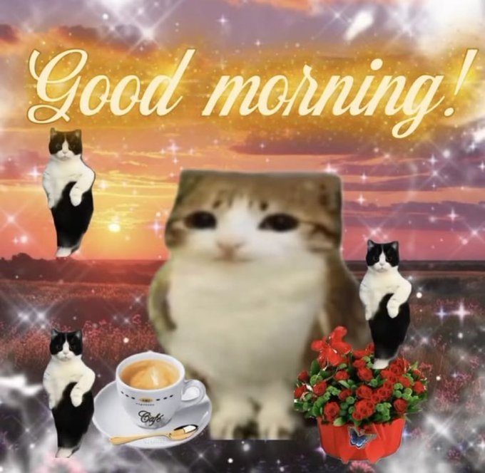 A whimsical 'Good morning!' greeting image featuring a fluffy cat surrounded by sparkles, a sunset background, a coffee cup, red flowers, and smaller cat figures.