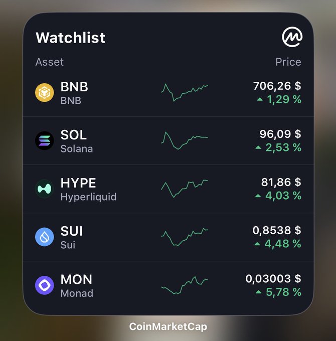 A CoinMarketCap Watchlist widget displays five cryptocurrencies in the green, showing modest gains: BNB at $706.26 (+1.29%), SOL at $96.09 (+2.53%), HYPE (Hyperliquid) at $81.86 (+4.03%), SUI at $0.8538 (+4.48%), and MON (Monad) at $0.03003 (+5.78%). The image directly illustrates the poster's delight at seeing all their watchlist tickers—$BNB, $SOL, $HYPE, $SUI, and $MON—trading in the green with positive percentage gains.