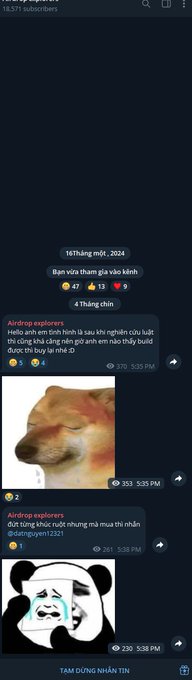 A Telegram chat screenshot showing posts from 'Airdrop explorers' in Vietnamese, including a viral photo of a smiling Shiba Inu dog and a panda meme.