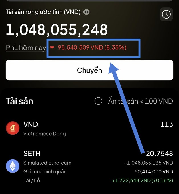 A cryptocurrency portfolio app screen in Vietnamese showing estimated assets of 1,048,055,248 VND with a daily loss highlight of 95,540,509 VND (8.35%), held in VND and SETH (Simulated Ethereum).