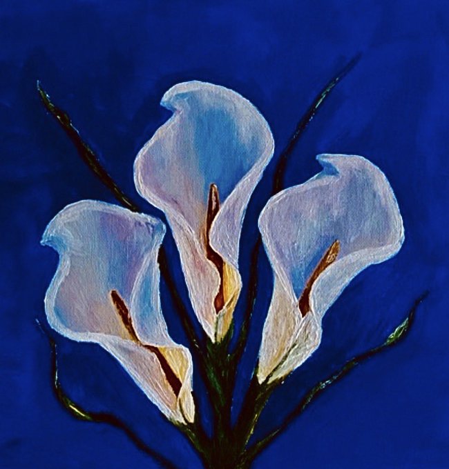 A painting of three white calla lilies with yellow centers against a deep blue background, rendered in an artistic, textured style.