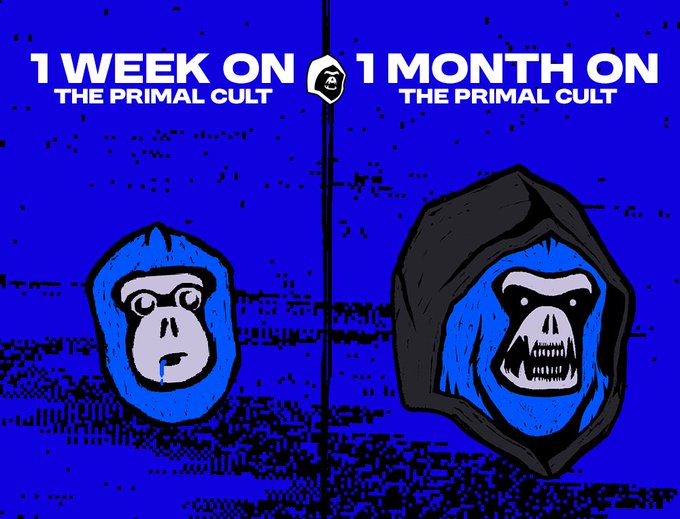 A two-panel comic on a blue background comparing '1 WEEK ON THE PRIMAL CULT' (a normal gorilla face) versus '1 MONTH ON THE PRIMAL CULT' (a hooded gorilla face with a skull-like grin and sharp teeth).