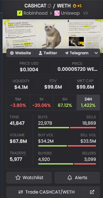 A token analytics dashboard for CASHCAT/WETH on Uniswap v3 (Robinhood), showing a price of $0.1004, market cap of $99.6M, and 41,847 transactions.