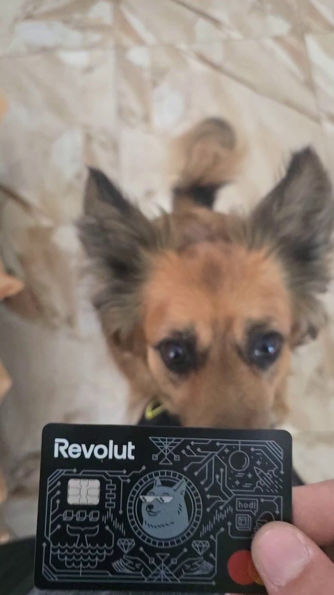 The image features a small brown dog sitting next to a credit card, which has a black and silver design featuring a cartoon dog face. The text accompanying the photo reads "My @Revolut Doge card just arrived! Loki saw the dog on it and immediately decided this card belongs to him Looks like the first purchase will be snacks paid with Dogecoin". This suggests that someone is about to make a purchase using their Revolut credit card, likely for some snacks.

The image also includes a person's hand holding the credit card, which adds context to the scene and emphasizes the connection between the dog and the card.