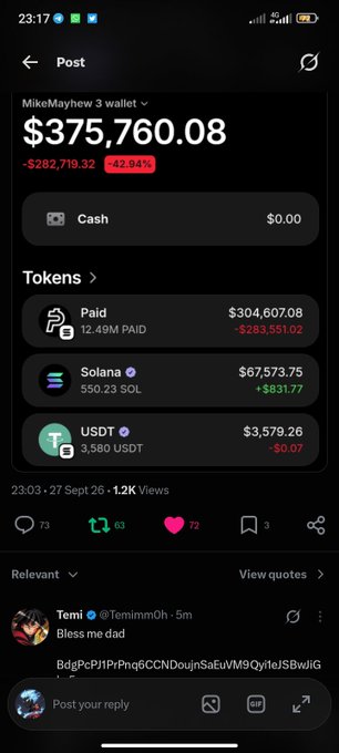 Mobile screenshot of a cryptocurrency wallet showing a portfolio value of $375,760.08, down -$282,719.32 (-42.94%), holding PAID ($304,607.08), Solana ($67,573.75), and USDT ($3,579.26).