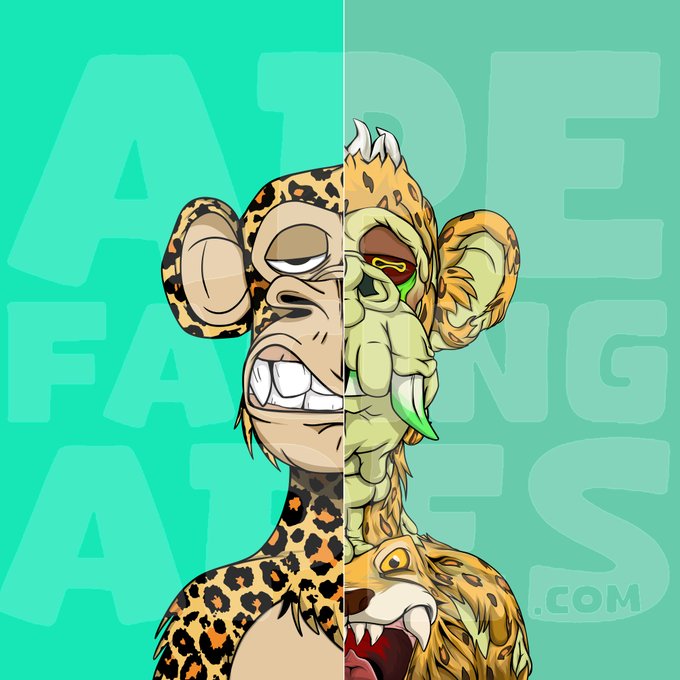 A split-face illustration showing a bored-looking leopard character on the left and a monstrous, mutated leopard with exposed flesh and teeth on the right, with the faint text 'APEDEFANGAFS.COM' in the background.