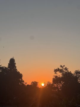 A landscape photograph capturing a vibrant orange sunset on the horizon, with the sun visible through silhouetted trees against a gradient sky fading to blue above.