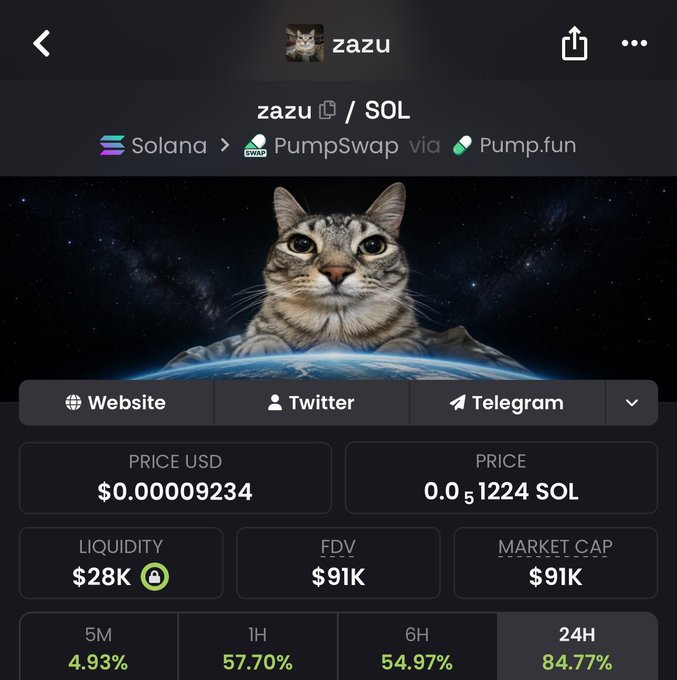 A cryptocurrency trading interface for the token 'zazu' on the Solana blockchain via PumpSwap/Pump.fun, showing a price of $0.00009234 and 24H gains of 84.77%, with a tabby cat in space as its avatar.