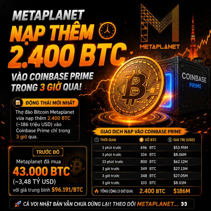 A Vietnamese-language infographic about Metaplanet adding 2,400 BTC to Coinbase Prime in the last 3 hours, showing transaction details with a total of $186M and noting they previously purchased 43,000 BTC at an average of $96,191/BTC.