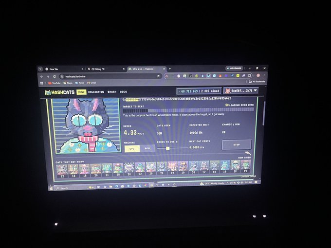 A computer screen displays the HashCats mining website showing cat NFTs being 'mined' with stats like 'SPEED 4.33 MH/S', 'CATS SEEN 558', and 'EXPECTED MINT 30964.5h'.
