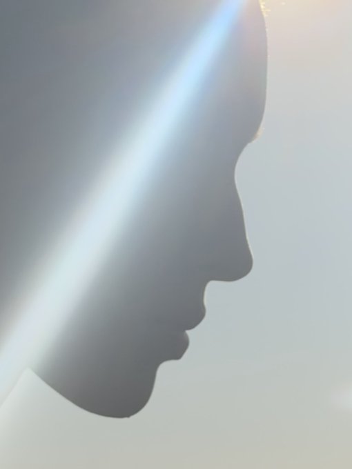 A profile silhouette of a person's face is illuminated by soft, dramatic lighting.