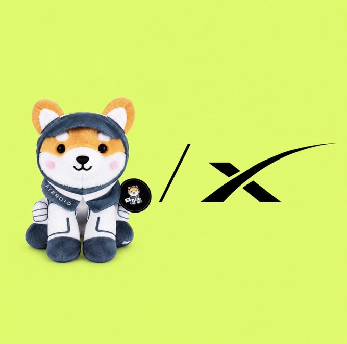 A plush Shiba Inu astronaut mascot labeled “ASTEROID” and wearing a SpaceX-style suit appears beside the SpaceX logo. The image pairs the “$ASTEROID” mascot with SpaceX-related ticker “$SPCX” from the accompanying post.