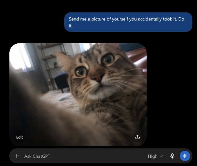 A screenshot of ChatGPT responding to the prompt "Send me a picture of yourself you accidentally took it. Do it." with an image of a wide-eyed tabby cat seemingly taking a selfie with its paw extended toward the camera, shared as an example of a viral "$CATGPT" trend.