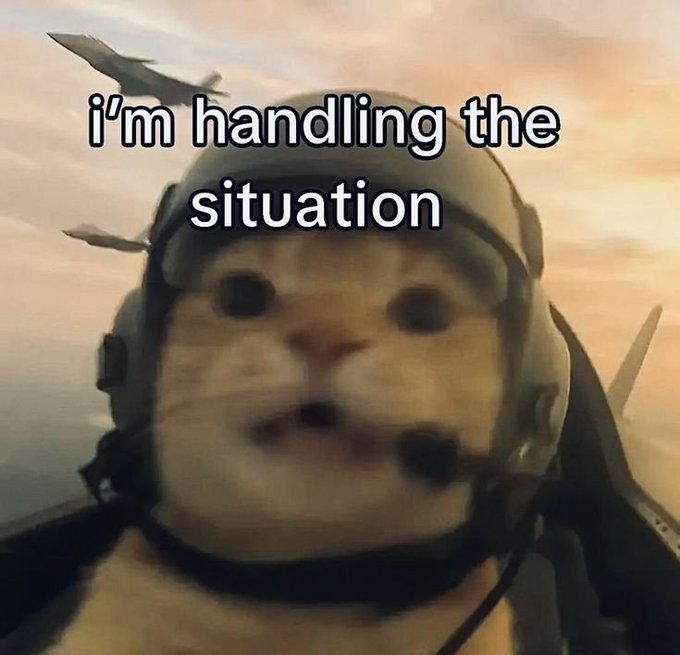A cat wearing a fighter pilot helmet and headset sits in a cockpit with the text "i'm handling the situation" overlaid. The meme humorously conveys a sense of calm composure amid chaos, fitting the post's tone of acknowledging a tough stretch while confidently returning to share updates on RWA (Real World Assets) developments in crypto.