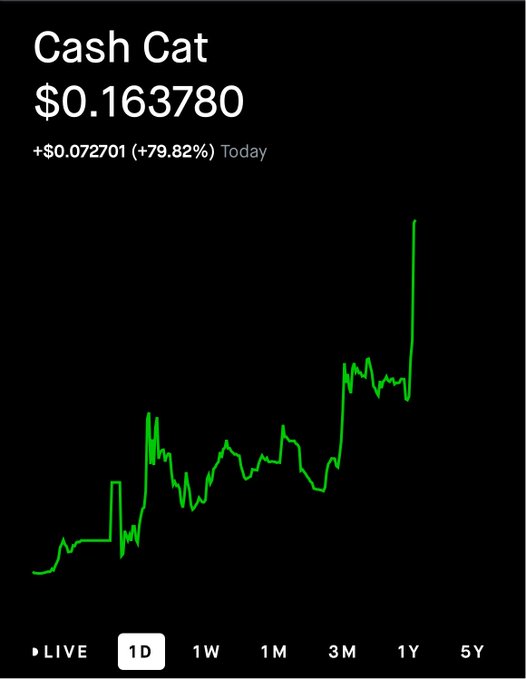 A Robinhood-style stock chart shows 'Cash Cat' at $0.163780, up +$0.072701 (+79.82%) Today, with a 1D time frame selected and a sharply rising green line graph.
