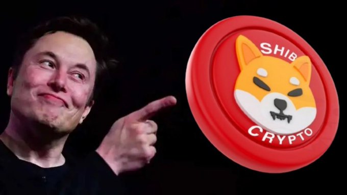 Elon Musk points toward a red 'SHIB CRYPTO' coin featuring the Shiba Inu dog logo against a black background.