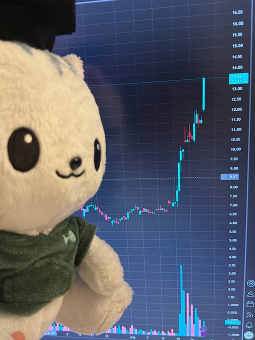 A white plush cat toy with big black eyes and a green shirt poses in front of a trading chart showing a stock that surged dramatically from around $6 to nearly $14, with volume bars spiking at the breakout — perfectly matching the meme's playful warning about getting carried away by hype ("purr" = her excitement, "liquid" = liquidation) during a parabolic price move.