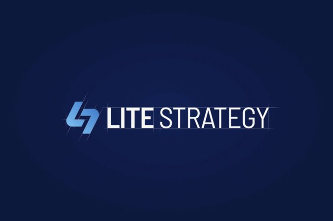 The image features a logo with blue text that reads "Lite Strategy" against a dark blue background, which appears to be a banner or advertisement. The logo is positioned at the bottom of the image, occupying most of the space from left to right. The text and design elements are clearly visible, making it easy for viewers to understand what the logo represents.
