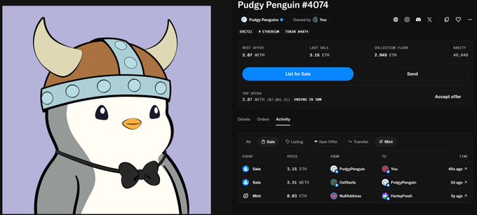 An OpenSea-style NFT listing page displaying Pudgy Penguin #4074, a cartoon penguin wearing a viking helmet, with a best offer of 2.87 WETH and various sale and mint activity listed.