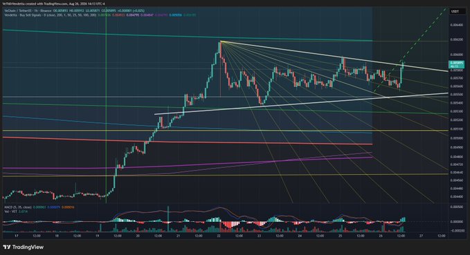 A TradingView financial chart displaying the VeChain/TRY pair on Binance with candlestick patterns, multiple moving averages, and fan-style trend lines on a 4-hour timeframe.